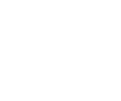 Seamless communication Logo